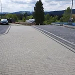 Dzika Orlica