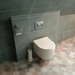 Dzika Orlica *