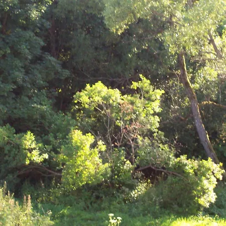 Dzika Orlica Apartment *