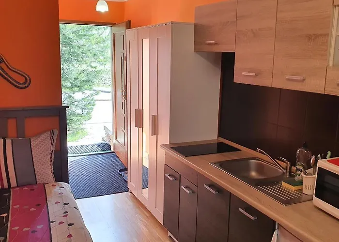 Dzika Orlica * Zieleniec (Klodzko)